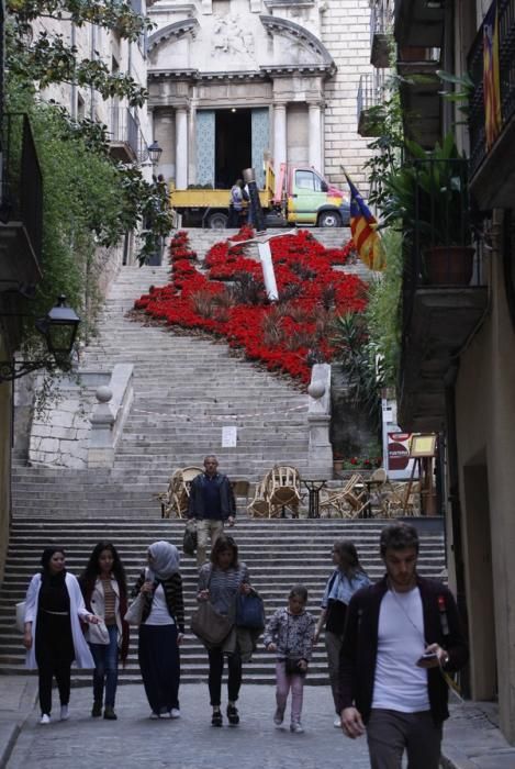 Comencen els preparatius per Temps de Flors