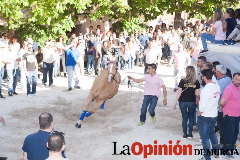 Día uno de mayo, entrada de caballos al Hoyo