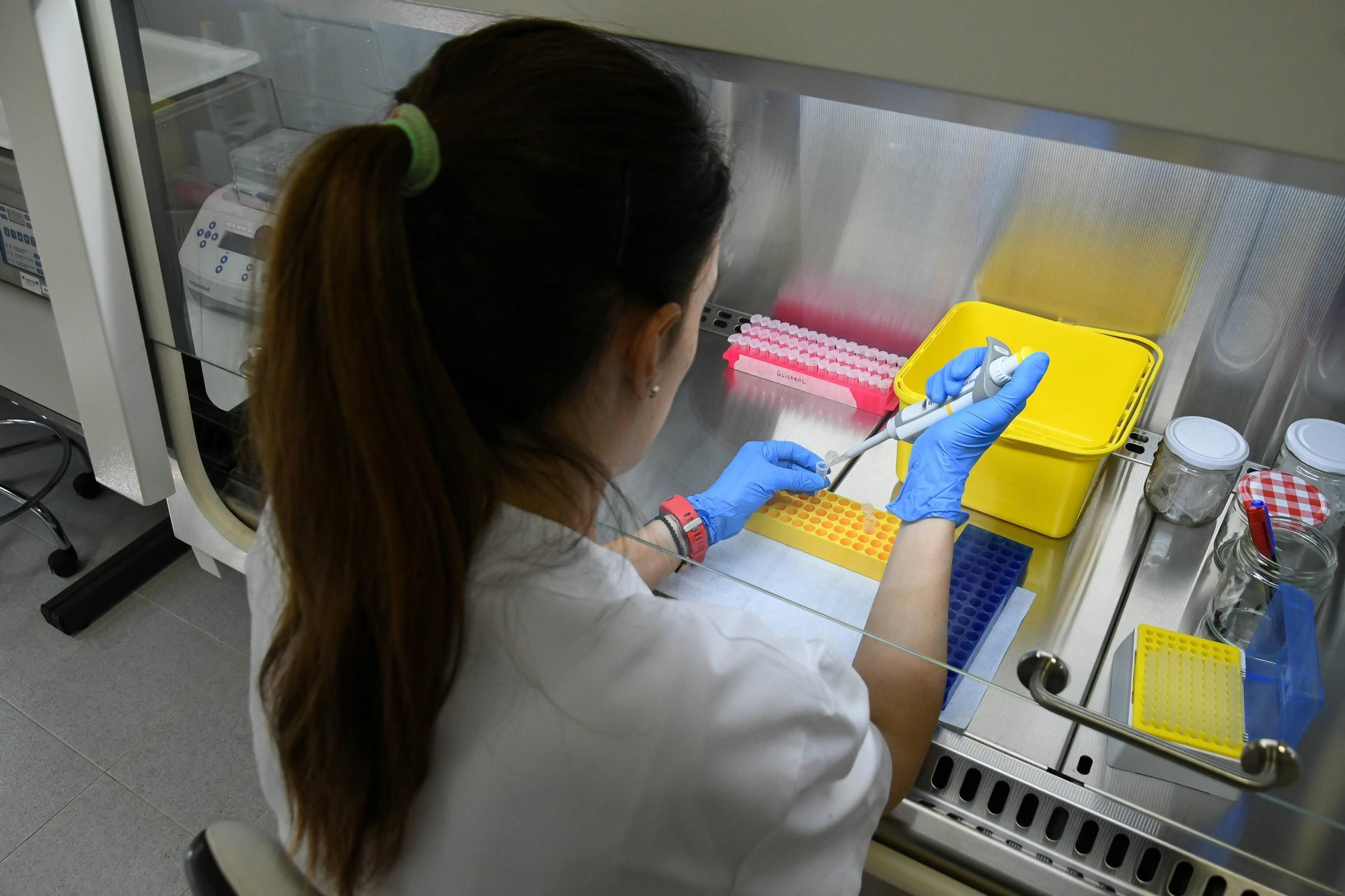 GALERÍA | Así trabaja el Laboratorio de Sanidad Animal de Zamora