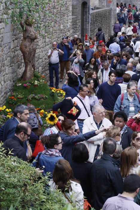 Girona es torna a omplir de visitants el darrer cap de setmana de Temps de Flors