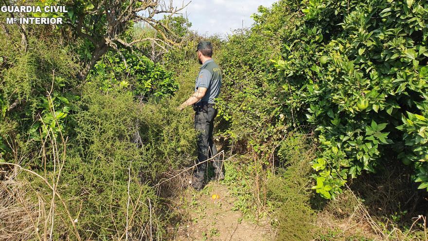 La Guardia Civil localiza un niño de dos años perdido en una urbanización de Godelleta