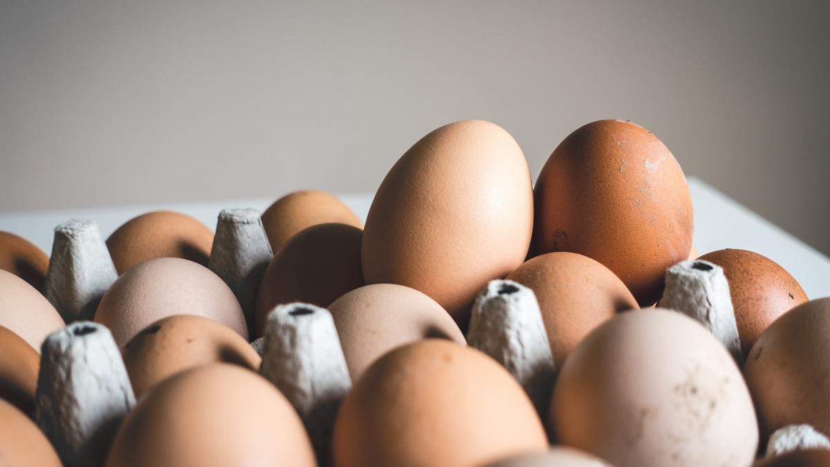 El huevo es uno de los alimentos más completos