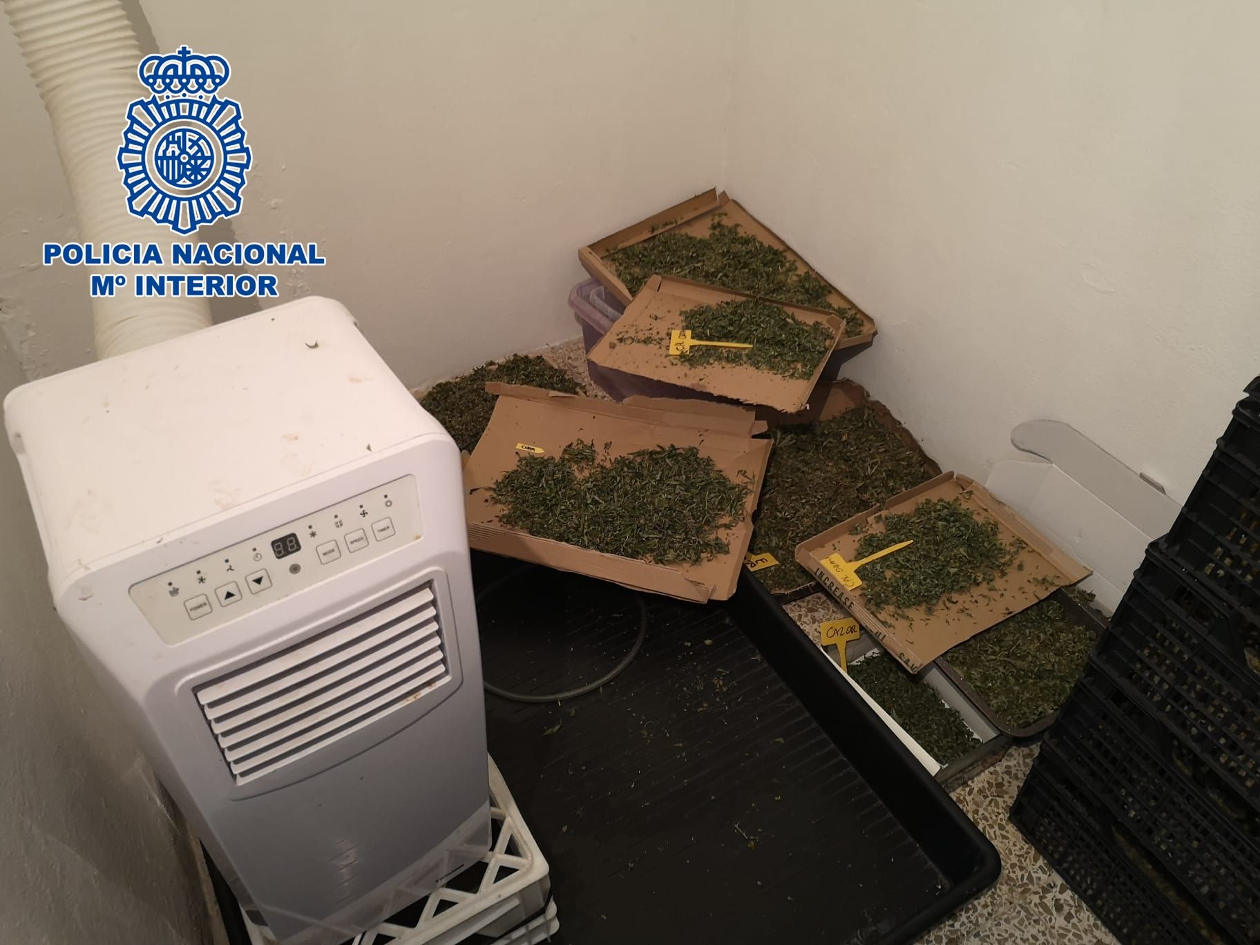 La Policía detecta por el olor en un almacén una plantación de marihuana