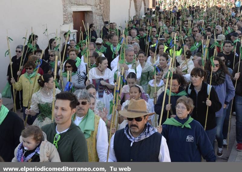 GALERÍA DE FOTOS - Romería Magdalena 2014 (5)