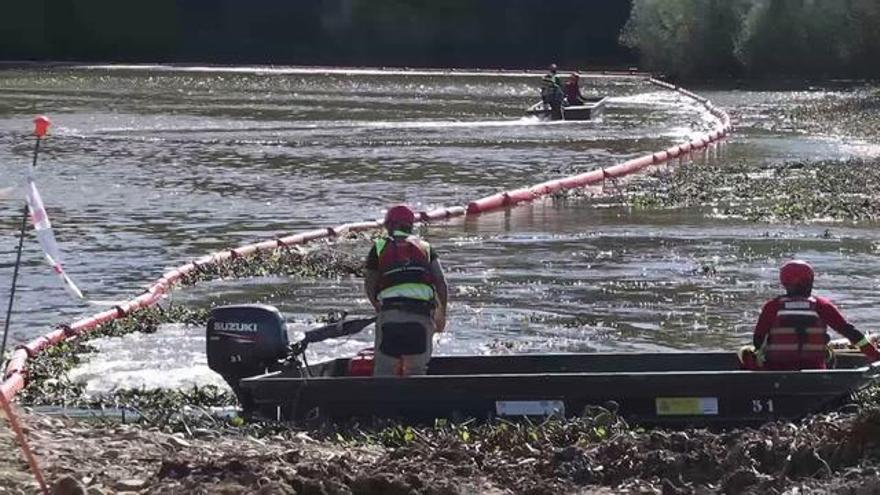 La UME arría la bandera y abandono Badajoz tras limpiar el Guadiana de camalote