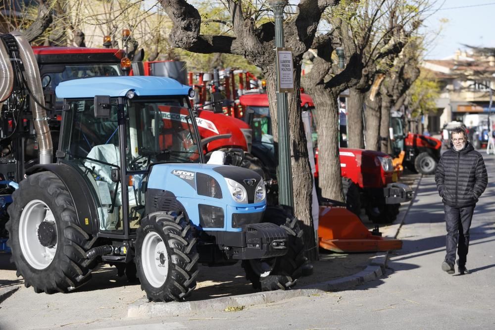 Torroella de Montgrí celebra la Fira de Sant Andreu