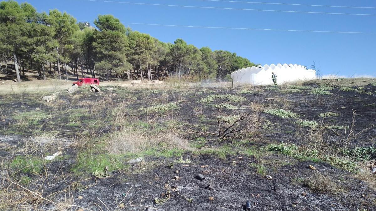 Zona quemada bajo el tendido eléctrico junto al pinar de Rute.
