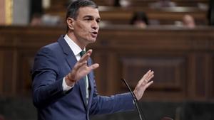 La munició de Pedro Sánchez