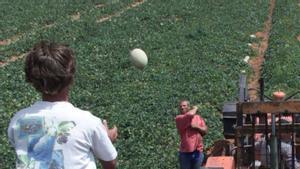 Orania, un lloc per a blancs a Sud-àfrica
