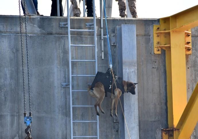 08/05/2019 TALIARTE. TELDE. Simulacro del ejército de operación contra el tráfico de drogas . Fotógrafa: YAIZA SOCORRO.  | 08/05/2019 | Fotógrafo: Yaiza Socorro