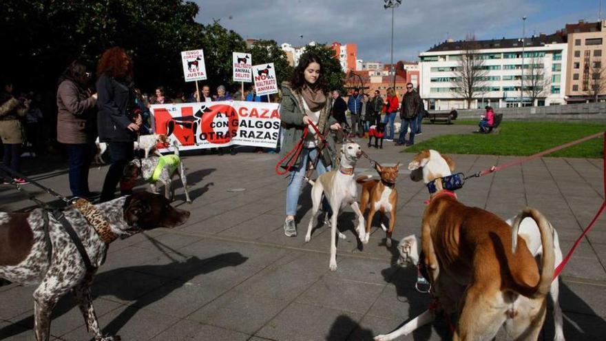 Perros delante de la pancarta central de la protesta.