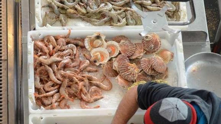 El precio de pescados y mariscos inicia su escalada navideña en plazas y  lonjas - Faro de Vigo