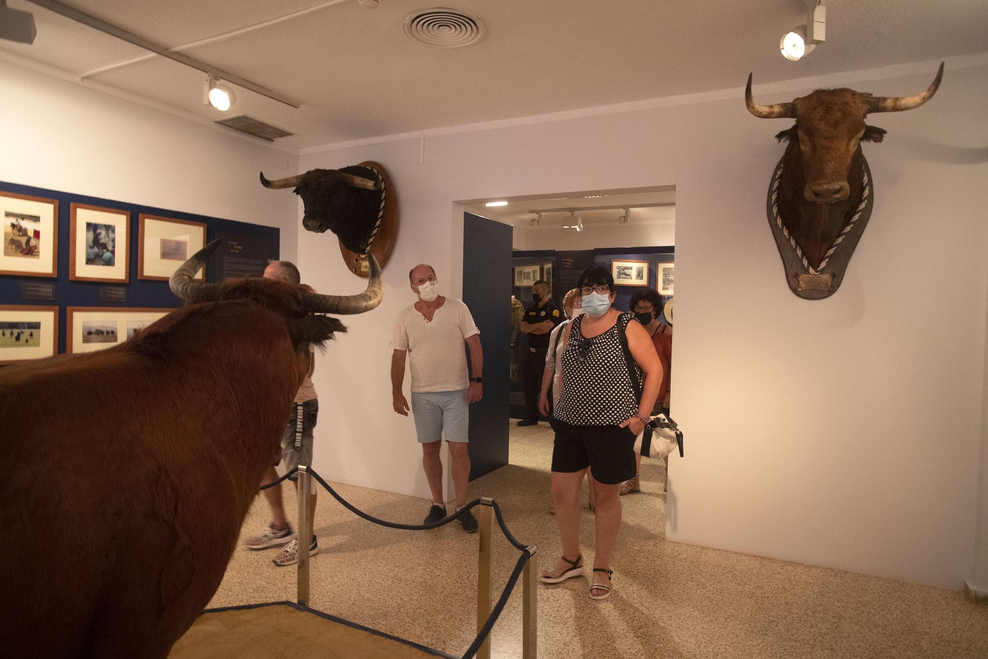 Un paseo por las entrañas del Museo Taurino de València