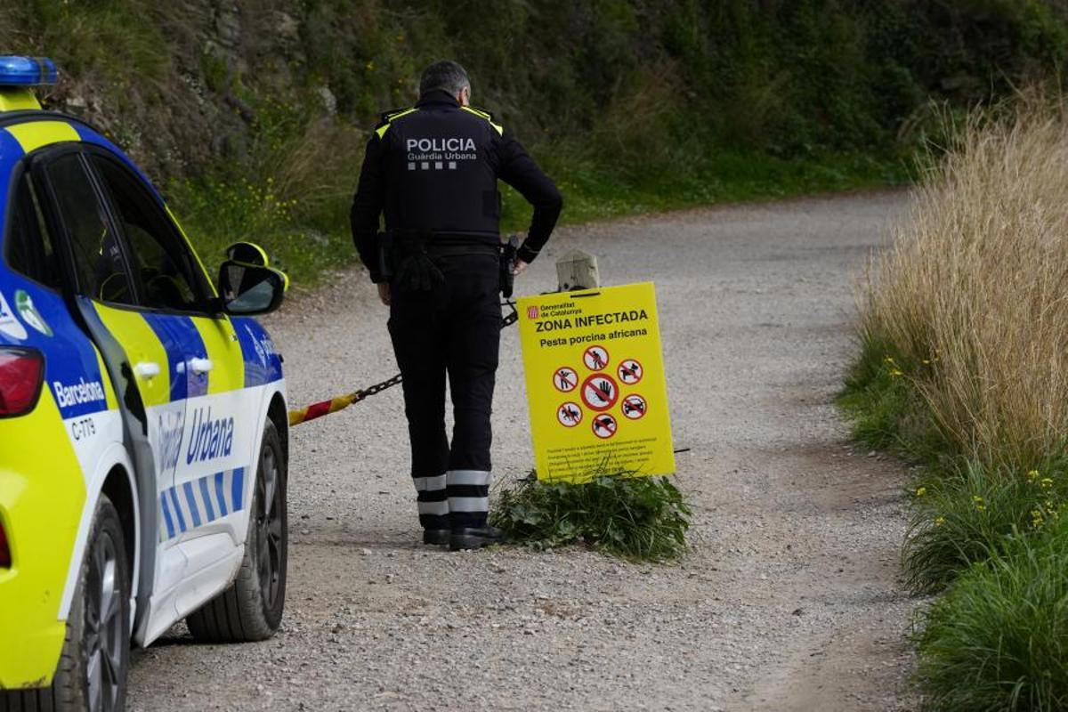 Zona de acceso restringido en la provincia de Barcelona por el brote de peste porcina africana.