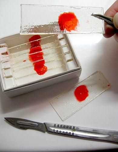 Halloween: muestras de Dexter de caramelo