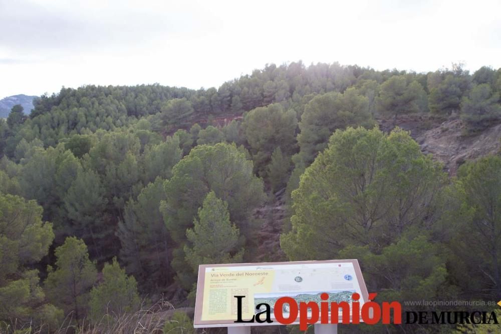 Peregrinar a Caravaca Jubilar. Vía del Noroeste