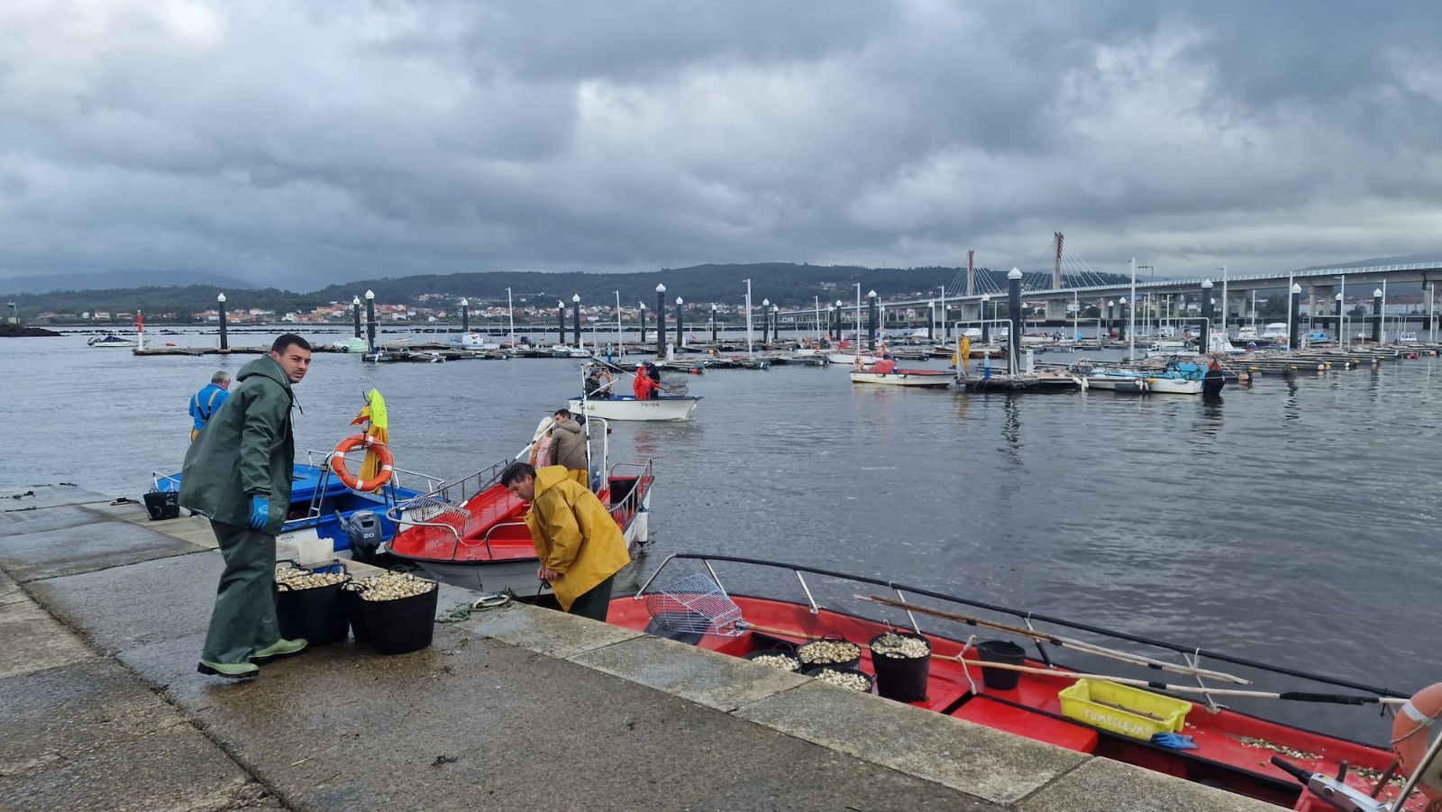 Así es el día a día en el puerto y la lonja de O Testal (Noia), donde cada vez se dan cita más mariscadores arousanos.