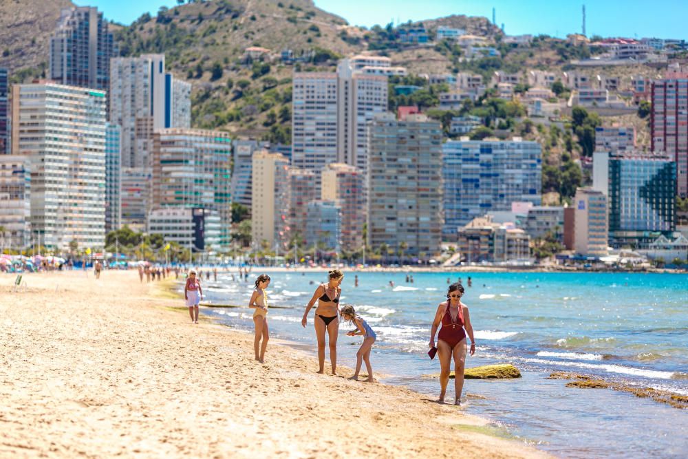 La playa de Levante, en Benidorm, con bandera azul.