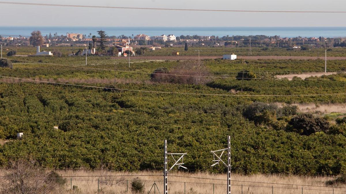 Terrenos en Montíber donde se han previsto las fotovoltaicas.