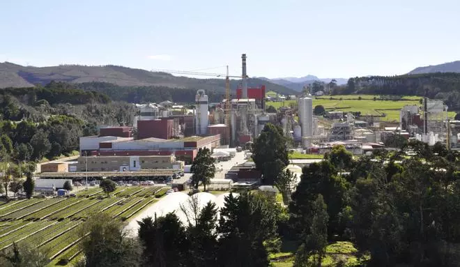 El Supremo falla a favor de Ence, que podrá seguir fabricando celulosa en Pontevedra hasta 2073