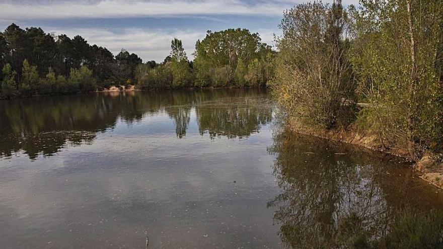 El pantà de Can Llop de Caldes, on es va produir l&#039;ofegament, fotografiat ahir a la tarda