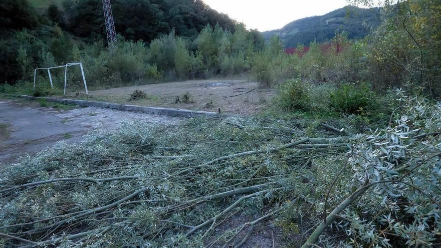 Los terrenos del viejo campo de fútbol, tras el inicio de los trabajos de limpieza.