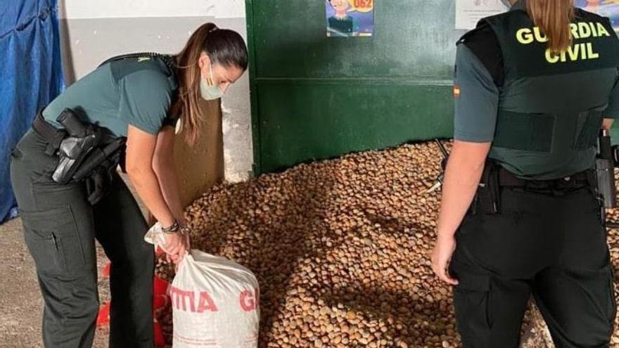 Detienen a dos personas por robar casi 2 toneladas de almendras en Cabanes y l&#039;Alcora