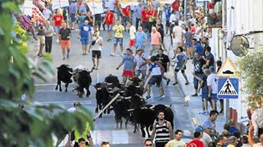 La proclamación y ‘l’entrà de bous’, pistoletazo de salida festera en Càlig