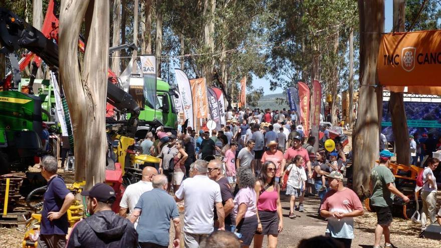 Galiforest cierra su edición de récord con cerca de 9.200 visitantes