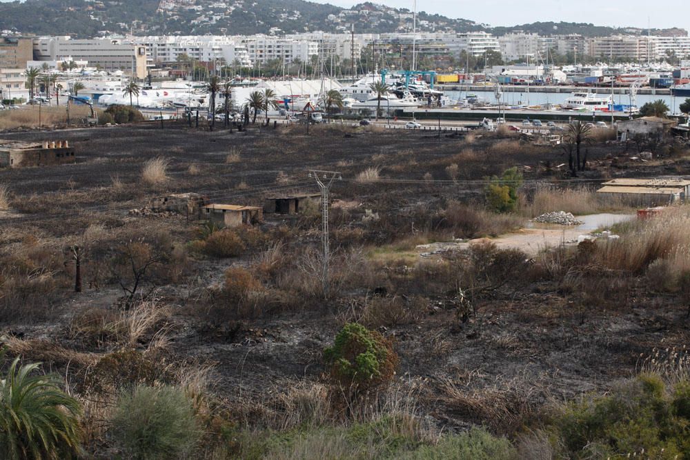 El día después del incendio en ses Feixes