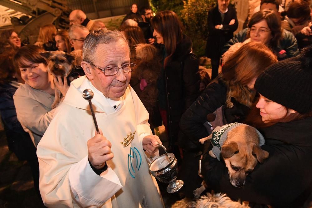 Bendición de mascotas en A Coruña