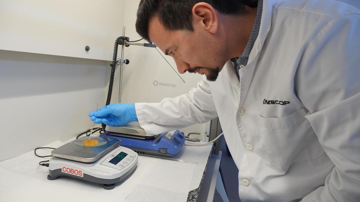 Un técnico de Inescop trabajando en el proyecto Bivalvos.