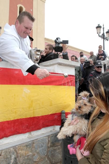 Bendición de los animales en Cartagena