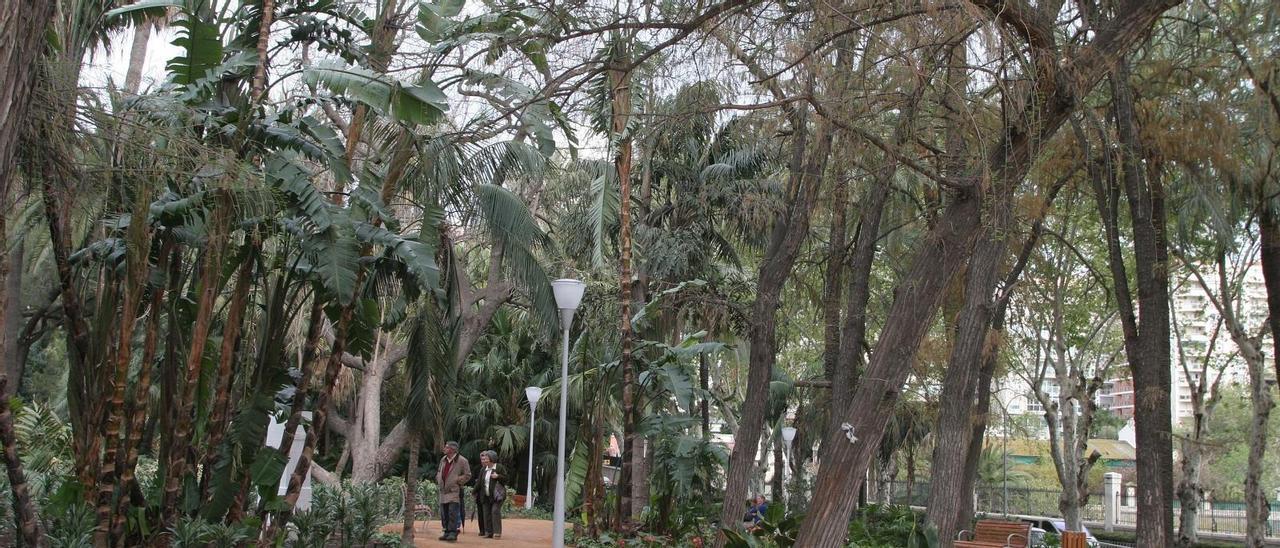 El Parque, en marzo 2007, tras su remodelación.