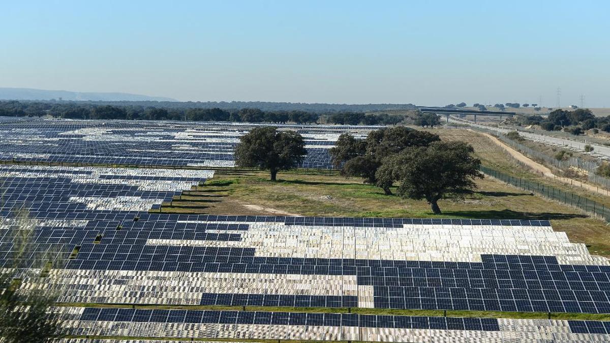 Planta solar en Talayuela (Cáceres), de la empresa Statkraft, rodeada de encinas.