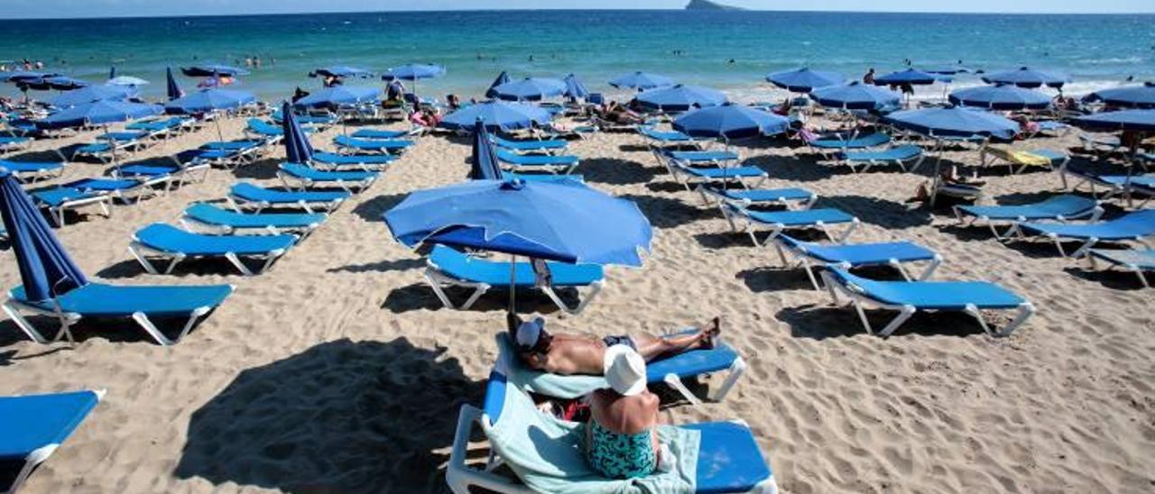 Benidorm sube el precio de las hamacas de las playas a cambio de más canon  - Información