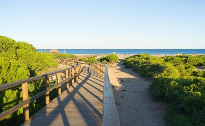 La playa de Elche