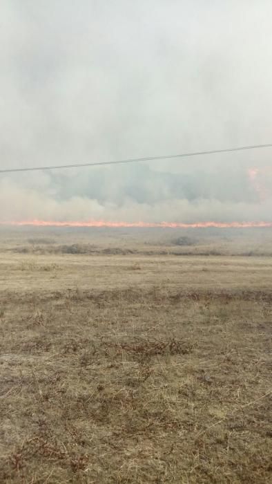 Fuego en Figueruela