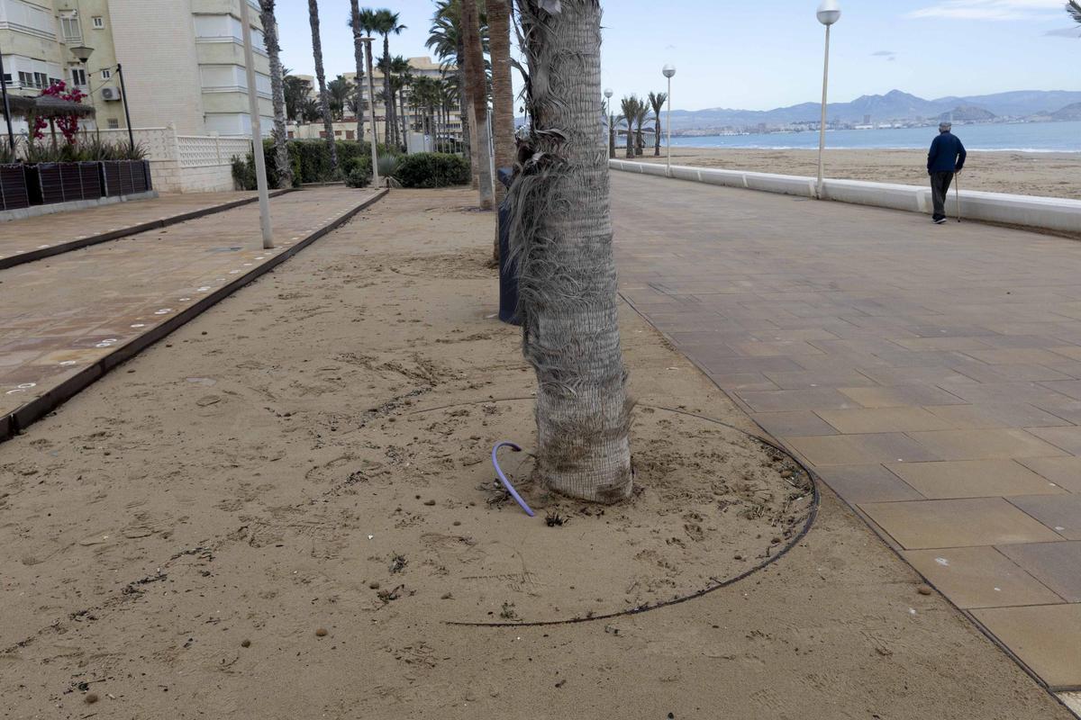 Estas son las playas más afectadas por las borrascas Ingrid y Harry en Alicante Estas son las playas más afectadas por las borrascas Ingrid y Harry en Alicante