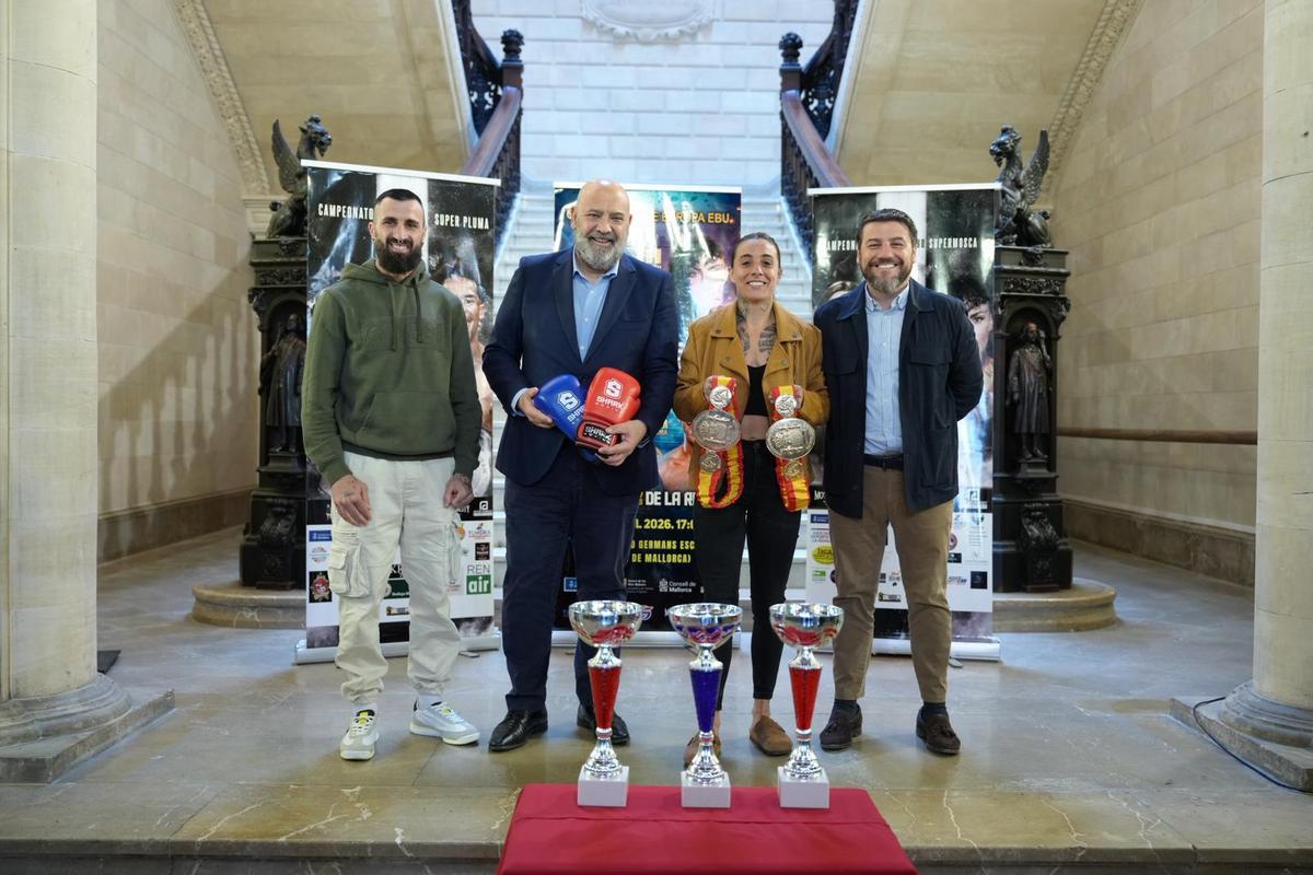 ciutat palma boxa