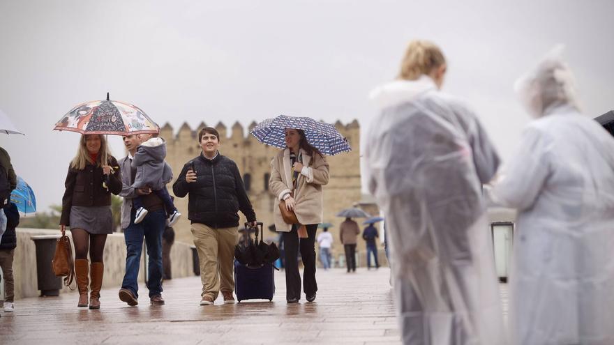 Asaja Córdoba celebra las lluvias por su impacto en el campo y pide avanzar en nuevas infraestructuras hídricas