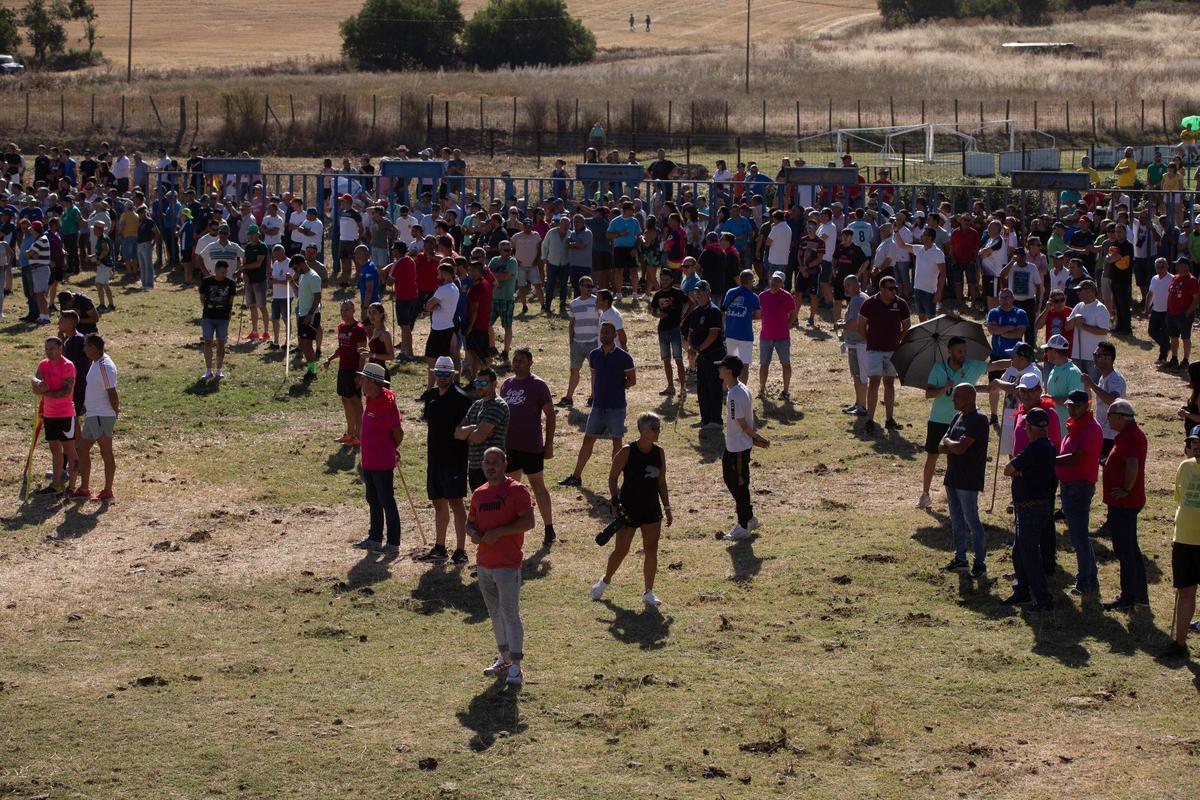 GALERÍA | Venialbo vibra con el encierro mixto de sus fiestas GALERÍA | Venialbo vibra con el encierro mixto de sus fiestas