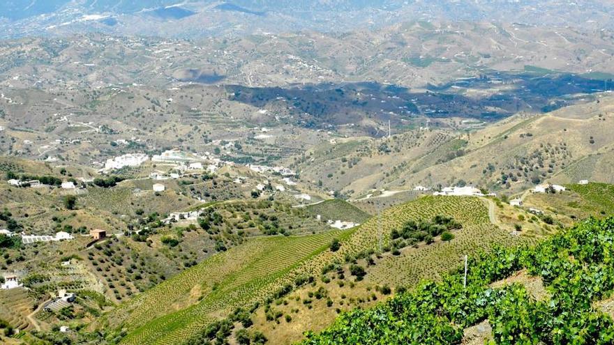 La Axarquía arroja la tasa más baja de muertes y de contagios.