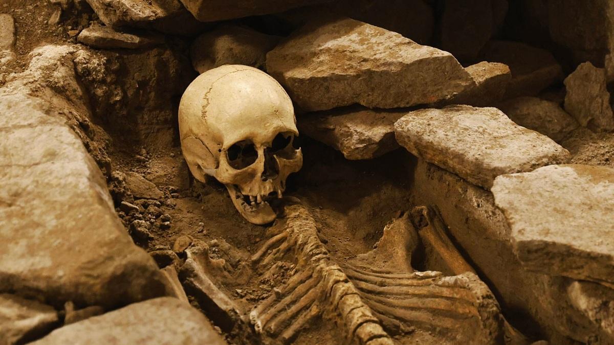 Plano cercano del área del camposanto