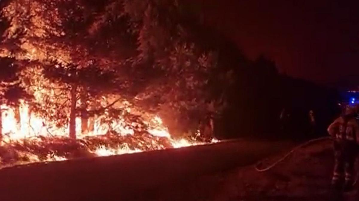 Las llamas se iniciaron por la noche en Campobecerros, destruyendo 175 hectáreas. |   // FDV