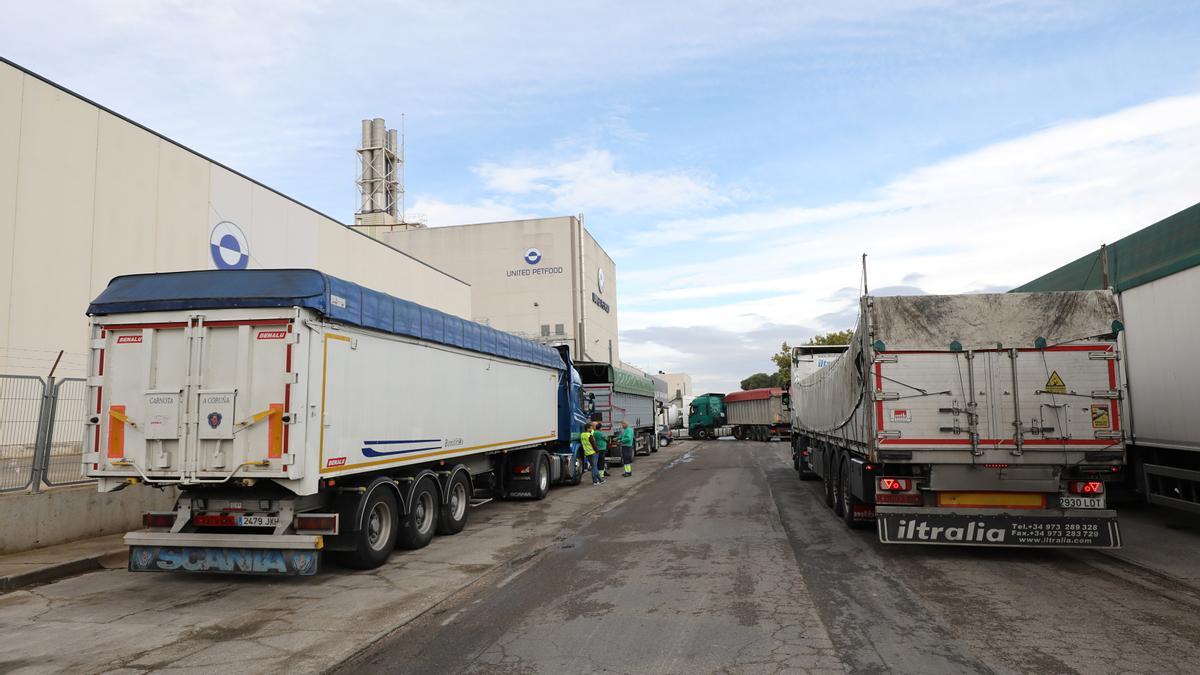 Una de las calles del polígono La Noria, cuyo suelo industrial está ocupado al 100%.