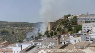 Un incendio iniciado en cuatro focos moviliza a bomberos de Baena y al Infoca