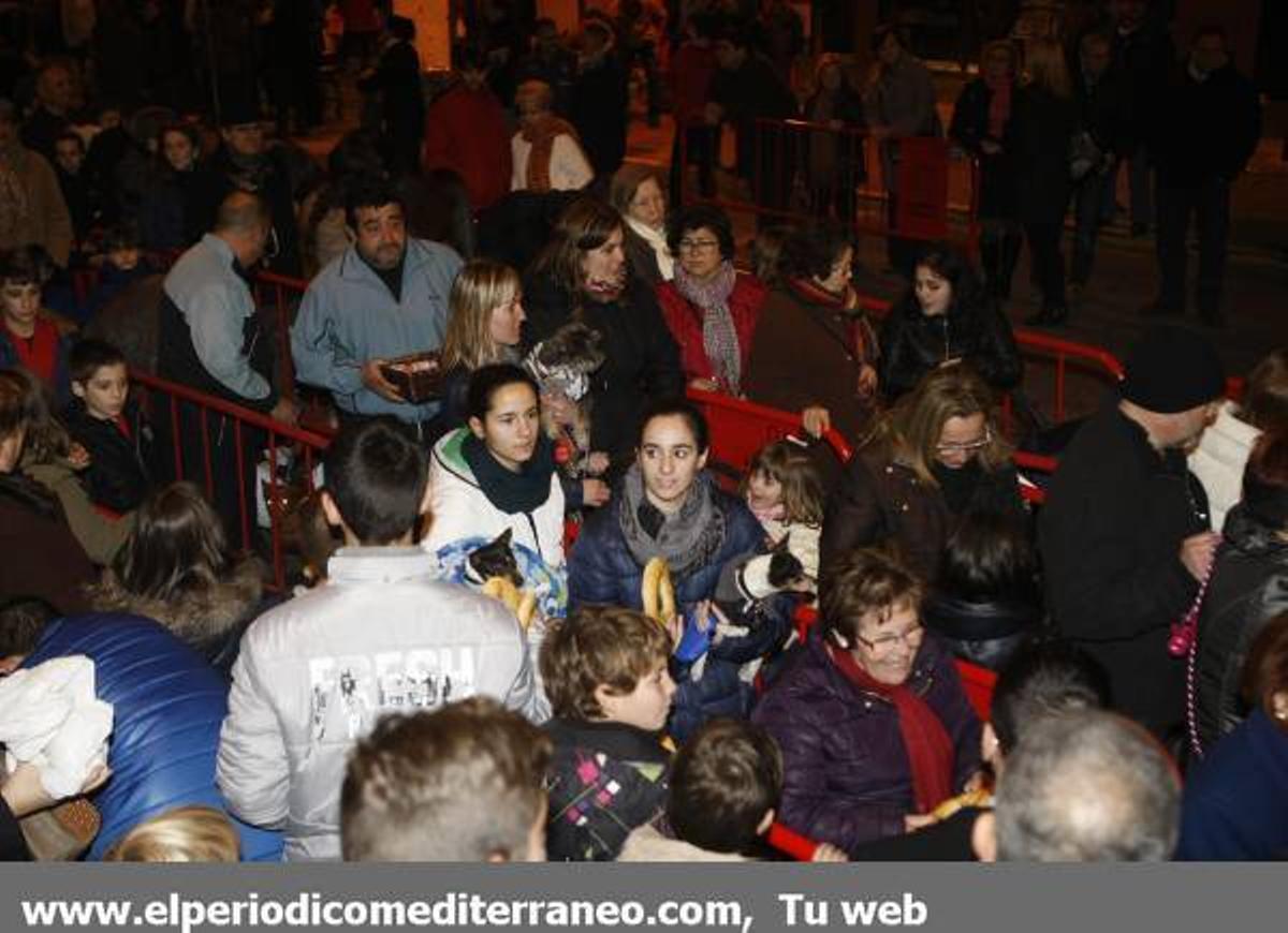 GALERÍA DE FOTOS - Bendición de los animales por Sant Antoni en Vila-real