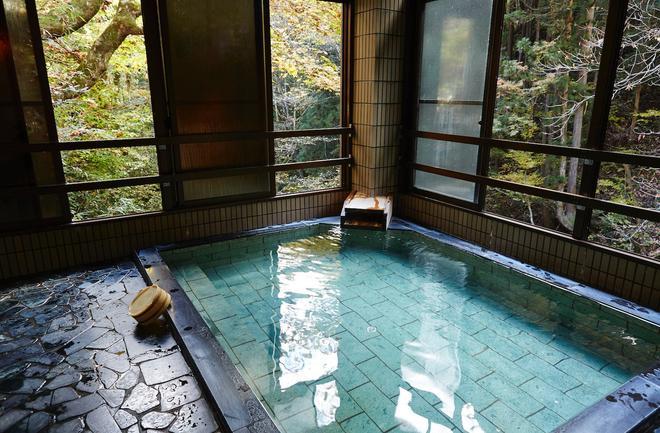 Tamasakai Tennen Onsen Mori no Irodori, Tokio