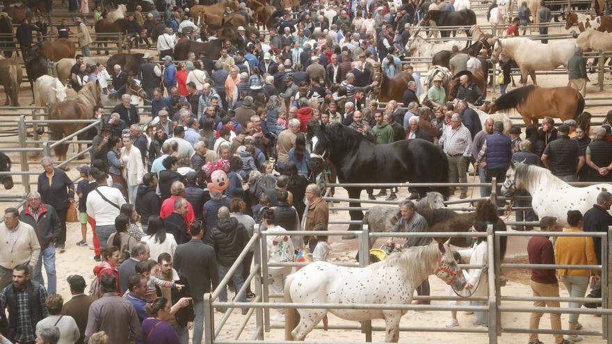 Las imágenes de &#039;A Feira Cabalar&#039; en Amio